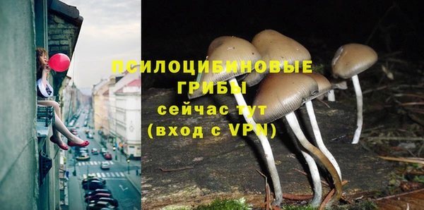 твердый Аркадак
