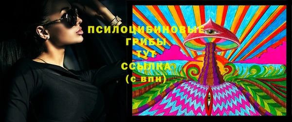твердый Аркадак