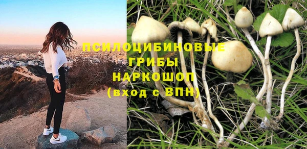 мдпв Арсеньев