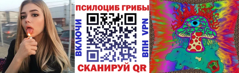 Галлюциногенные грибы Magic Shrooms  купить наркоту  Георгиевск 